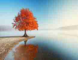 精﻿准​云​分​析​官‌网‍